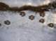 imgp1768_small.jpg