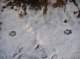imgp1784_small.jpg