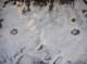imgp1785_small.jpg