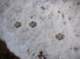 imgp1793_small.jpg
