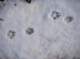 imgp1794_small.jpg