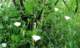 imgp2877_small.jpg