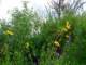 imgp2880_small.jpg
