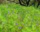 imgp2882_small.jpg