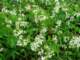 imgp2884_small.jpg