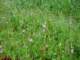 imgp2885_small.jpg