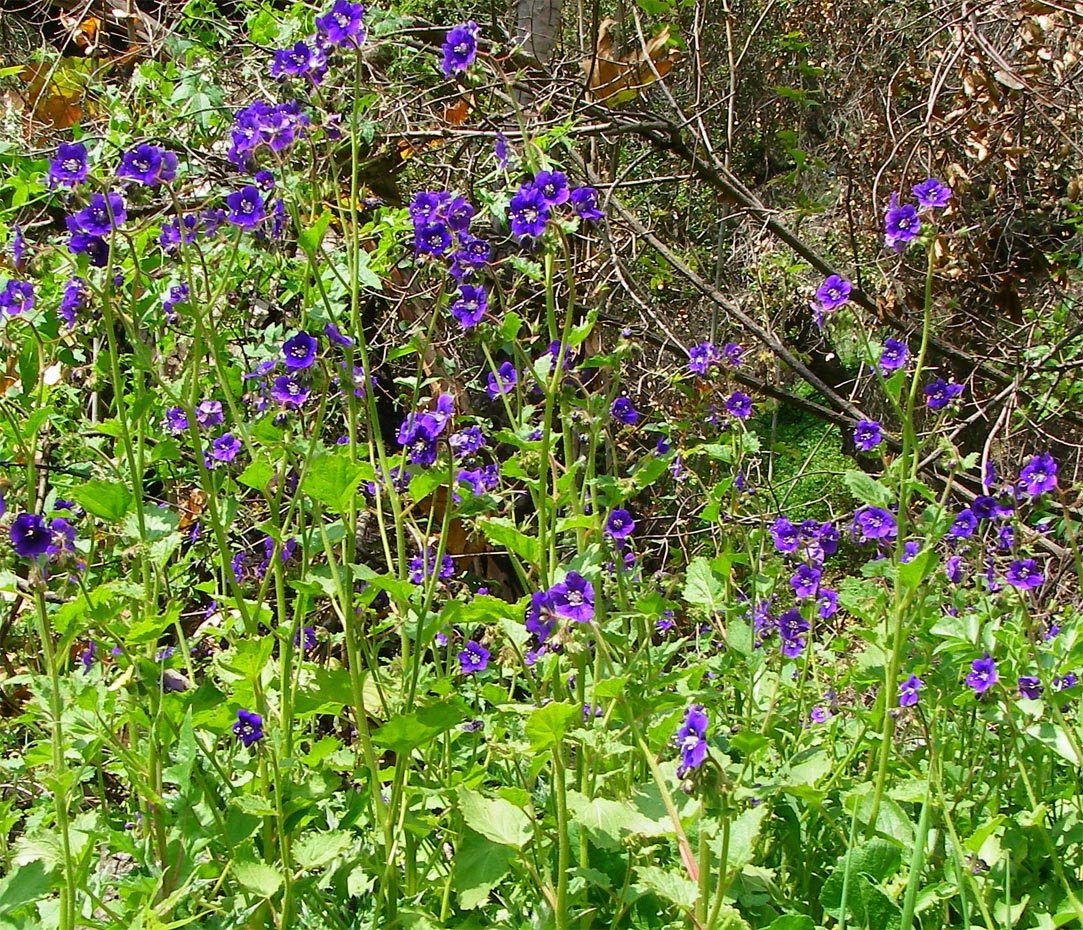 imgp2886.jpg