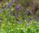 imgp2886_small.jpg