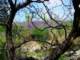imgp2887_small.jpg