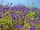 imgp2890_small.jpg
