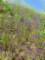 imgp2893_small.jpg