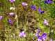 imgp2895_small.jpg