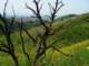 imgp2899_small.jpg