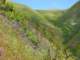 imgp2901_small.jpg