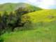 imgp2911_small.jpg