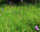 imgp2912_small.jpg