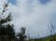 imgp2913_small.jpg