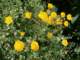 imgp2917_small.jpg