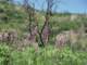 imgp2920_small.jpg