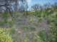imgp2923_small.jpg