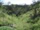 imgp2926_small.jpg