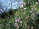imgp2927_small.jpg