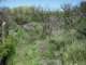 imgp2928_small.jpg