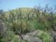 imgp2929_small.jpg