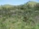 imgp2930_small.jpg
