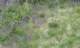imgp2932_small.jpg