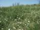 imgp2934_small.jpg