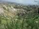 imgp2936_small.jpg