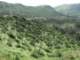 imgp2940_small.jpg