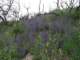 imgp2941_small.jpg