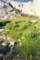 whitney200004_small.jpg
