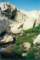 whitney200007_small.jpg