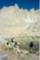 whitney200009_small.jpg