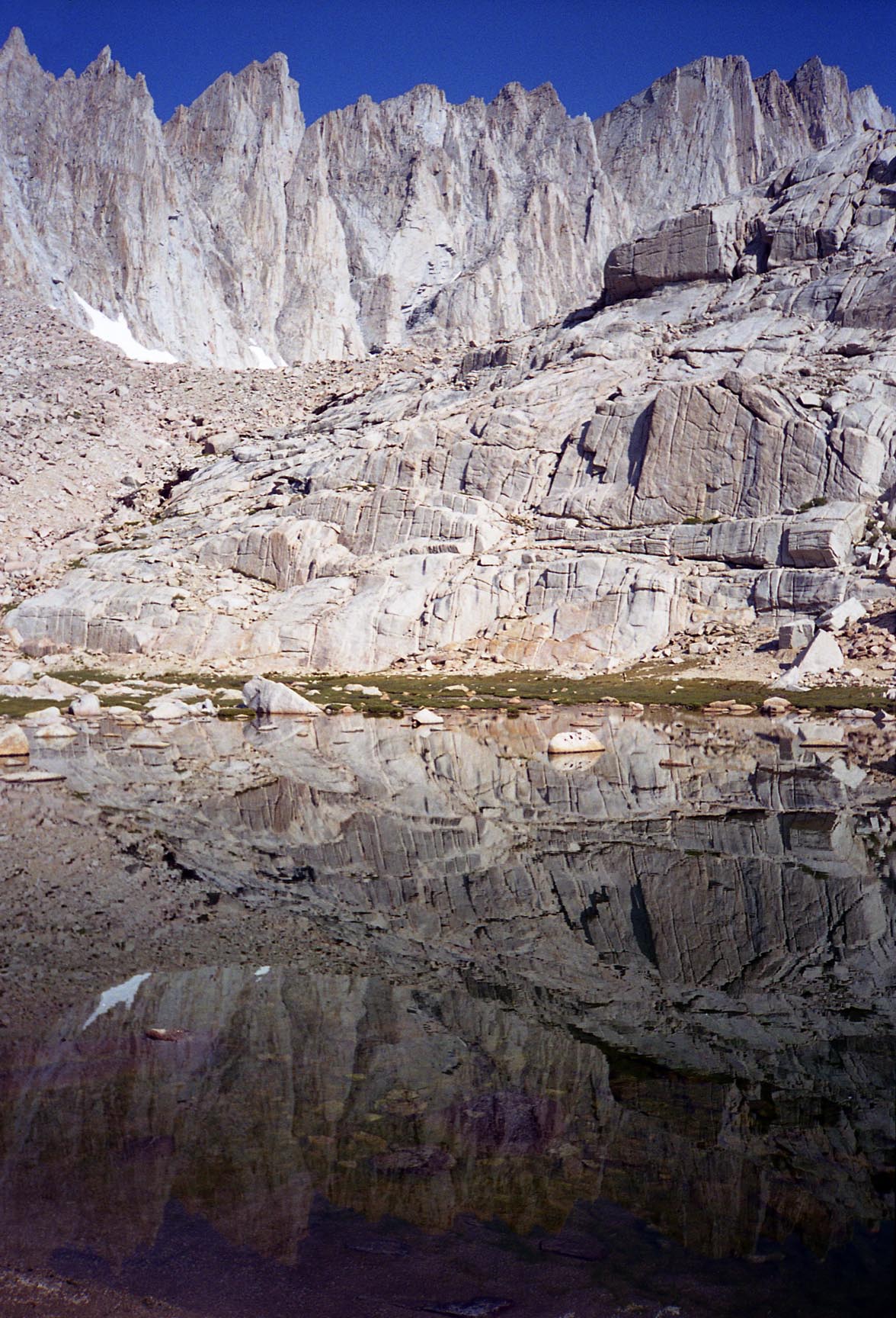 whitney200012.jpg
