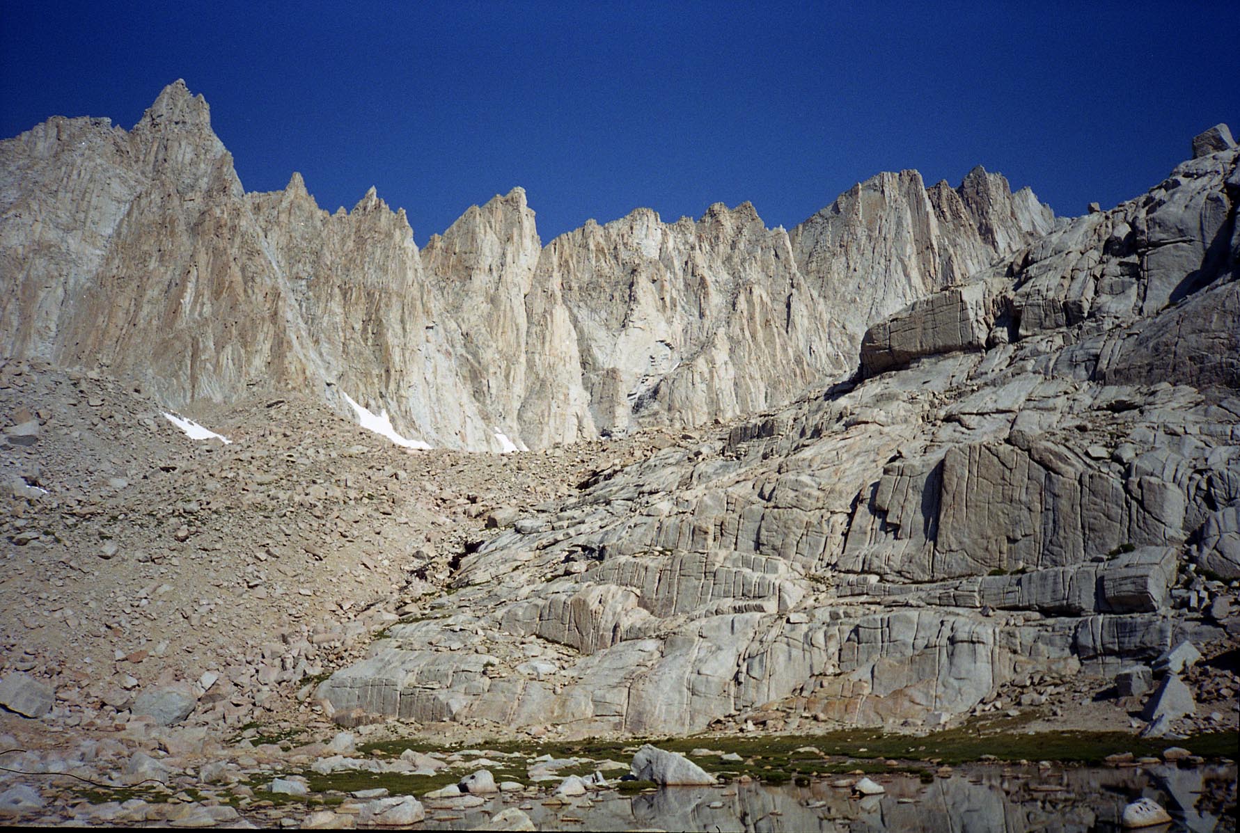 whitney200013.jpg