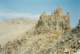 whitney200027_small.jpg