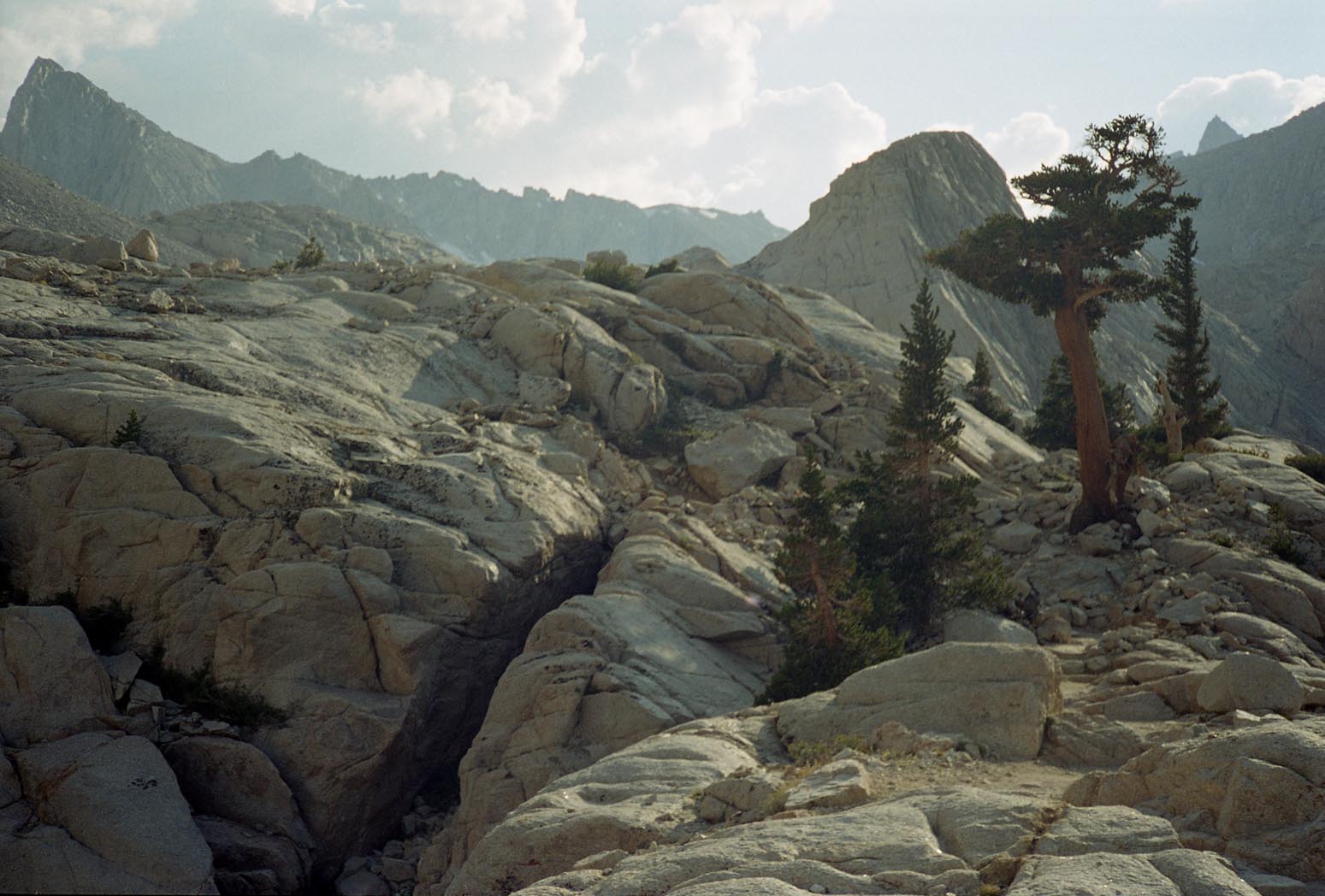 whitney200034.jpg