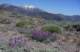 imgp2439_small.jpg