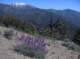 imgp2440_small.jpg