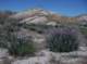 imgp2442_small.jpg