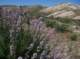 imgp2444_small.jpg