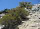 imgp7624_small.jpg