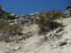 imgp7625_small.jpg