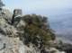 imgp7628_small.jpg