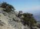 imgp7629_small.jpg