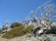 imgp7632_small.jpg